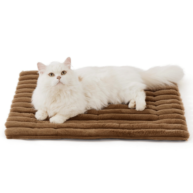 Self-Warming Pet Bed