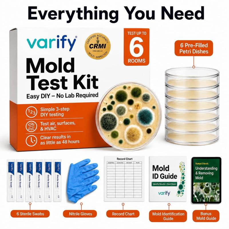 Mold Test Kit