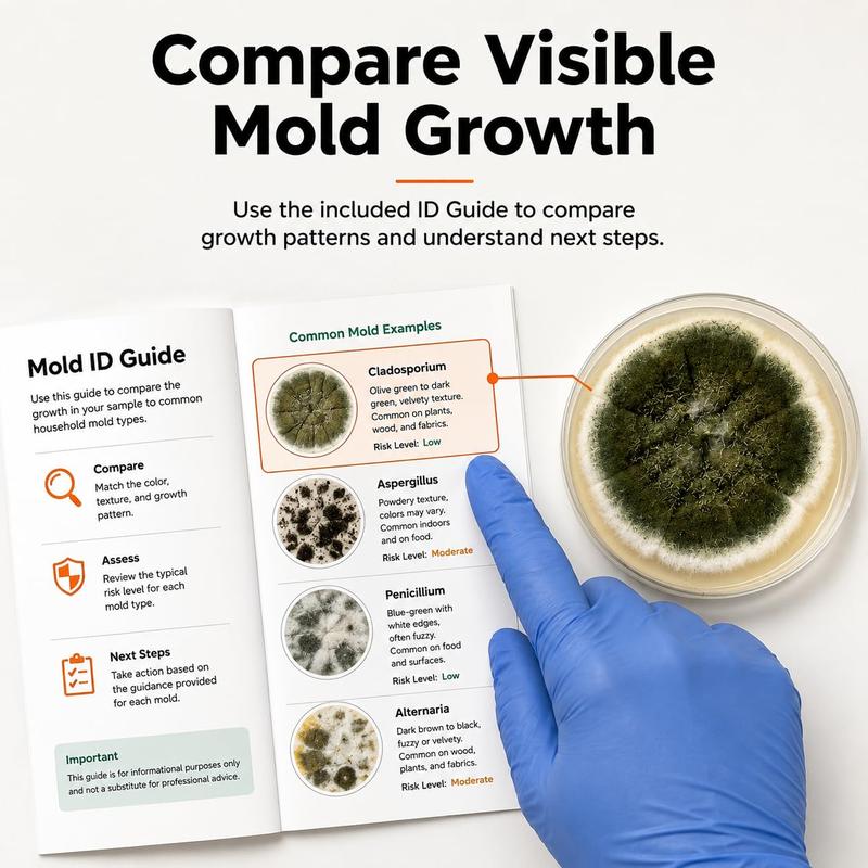 Mold Test Kit