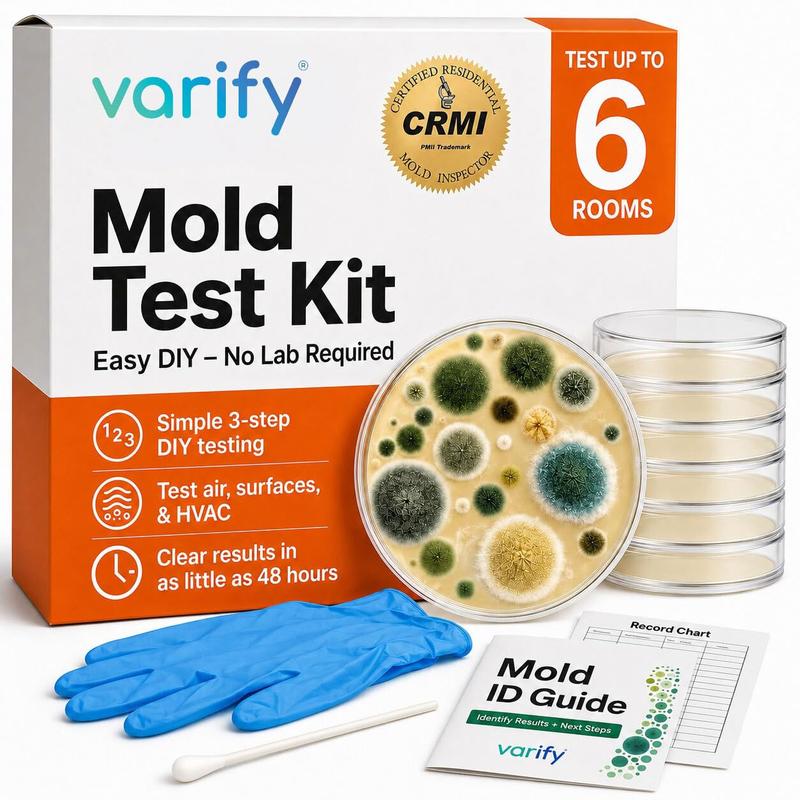 Mold Test Kit